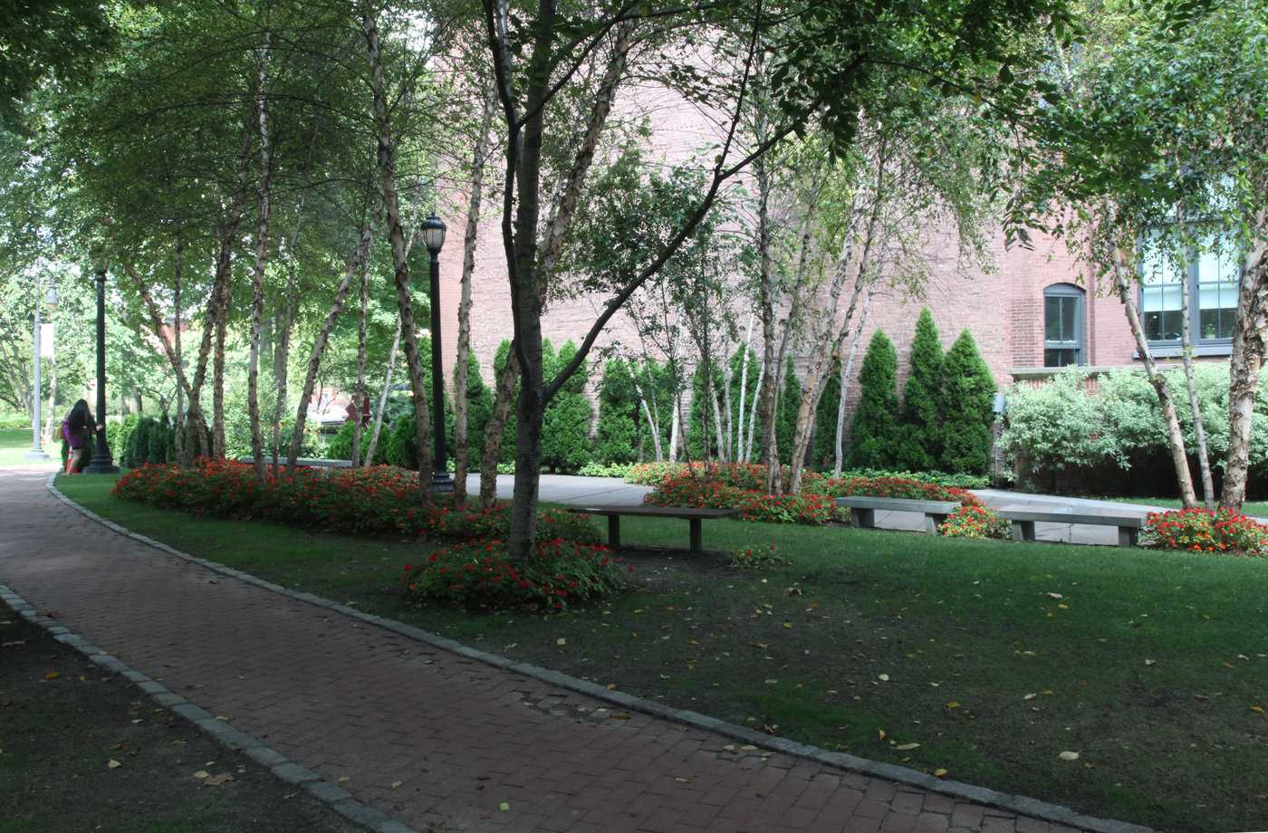 纽曼商城庭院 · 多功能聚会空间的创新设计丨MNLA-3