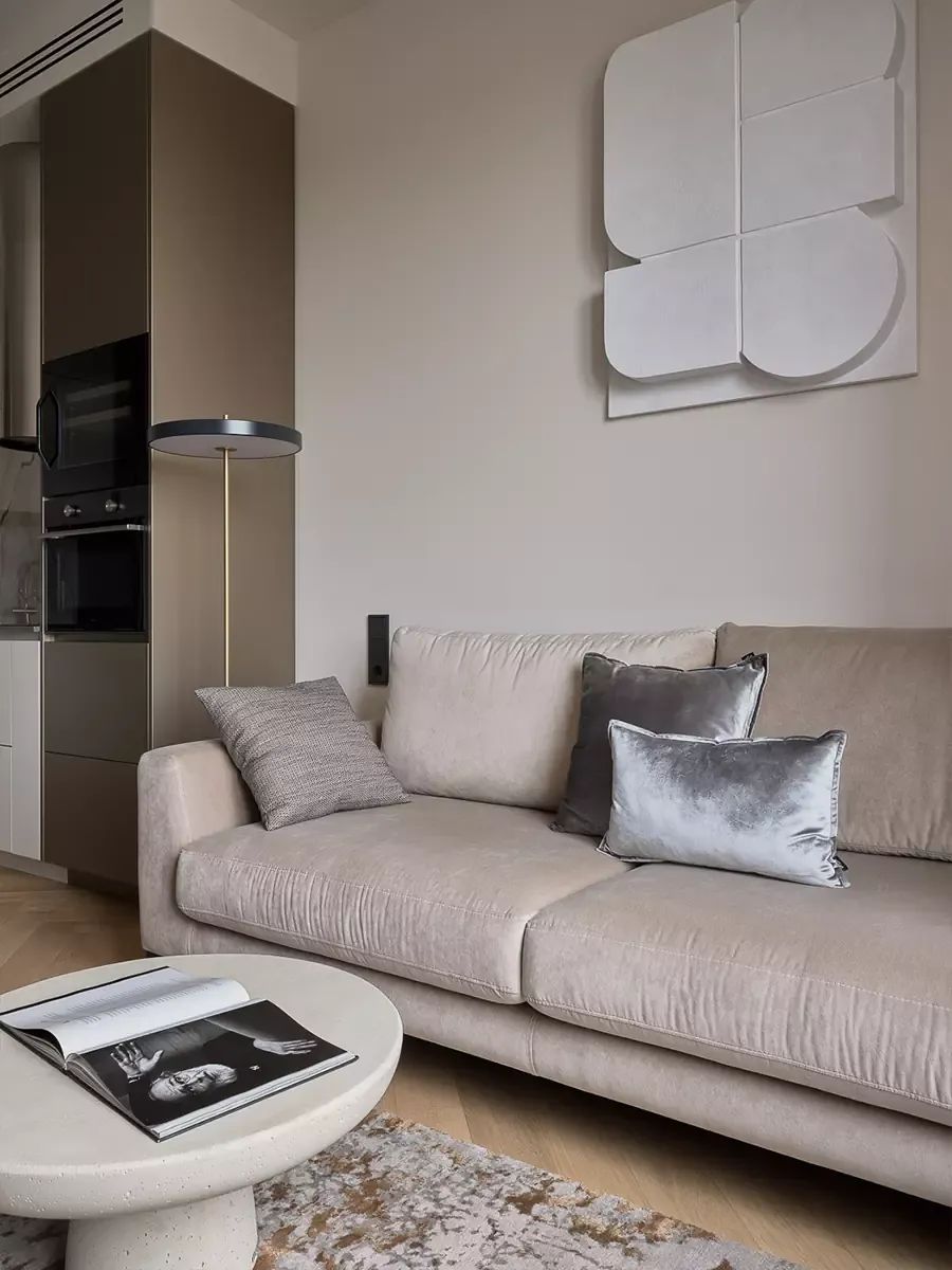 宁静简练的 49㎡小宅-9