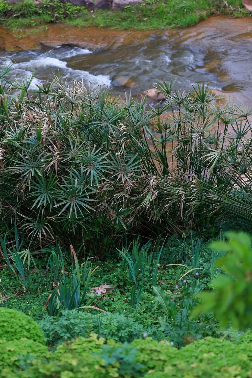二次激活下的乡村活力复苏·德阳高槐村乡村振兴丨中国德阳丨环球地景设计有限公司-43