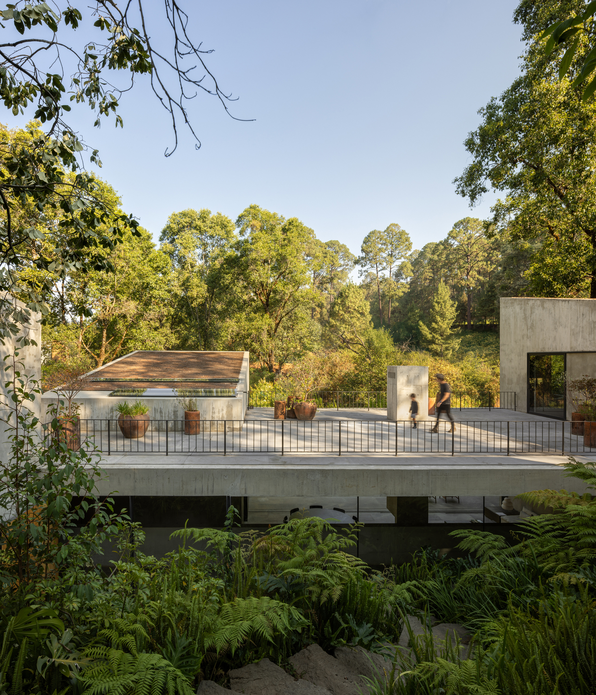 阿万达罗的房子丨墨西哥-13