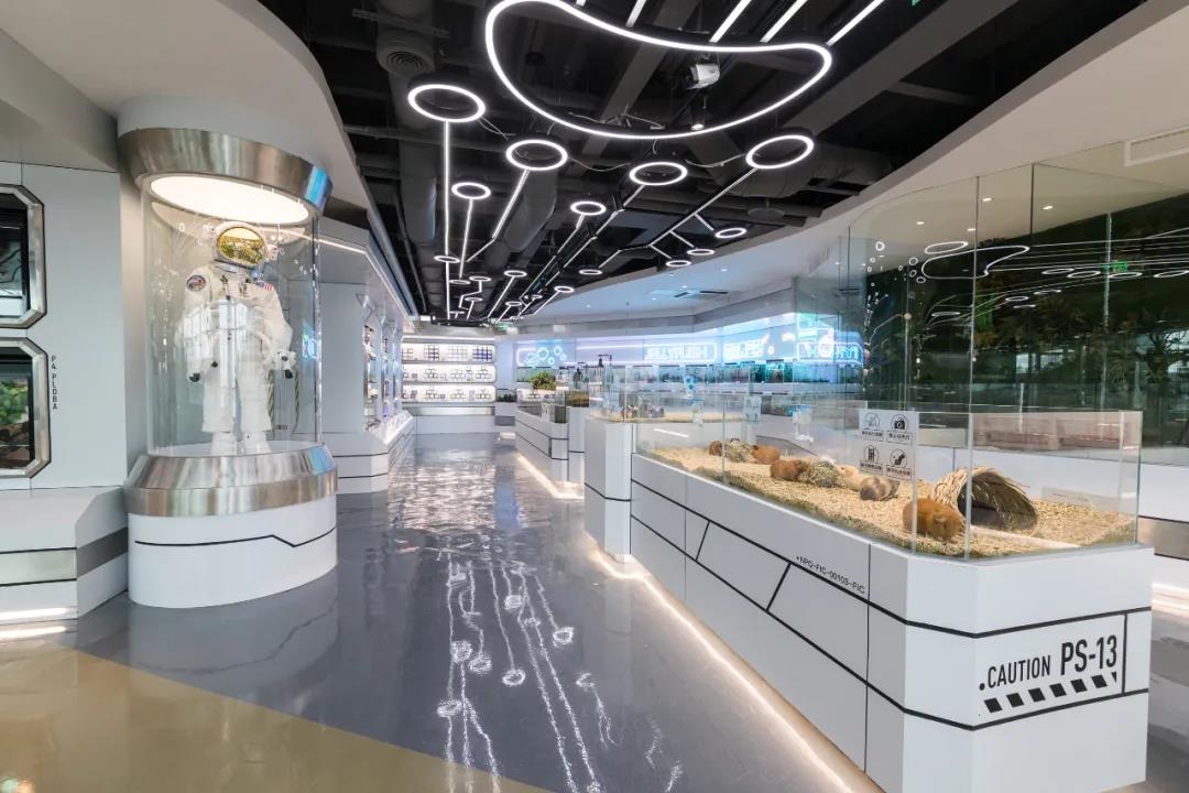 极宠家丨中国南京丨未本空间团队-62