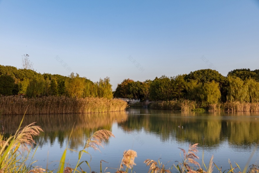 昆山市城市生态森林西入口丨中国鞍山丨PLAT Studio-23