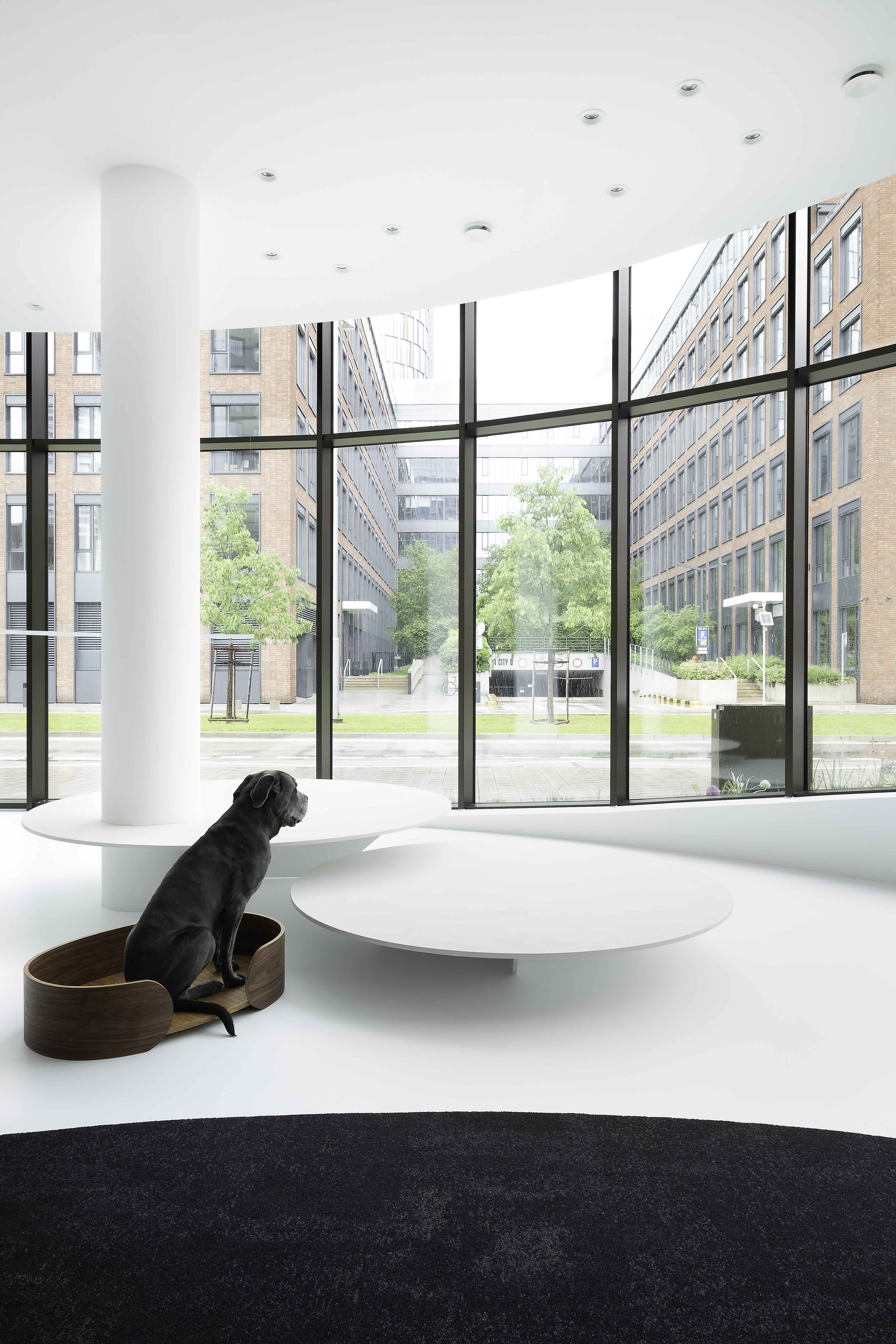 狗广场画廊丨斯洛伐克布拉迪斯拉发丨atelier 27.9-16