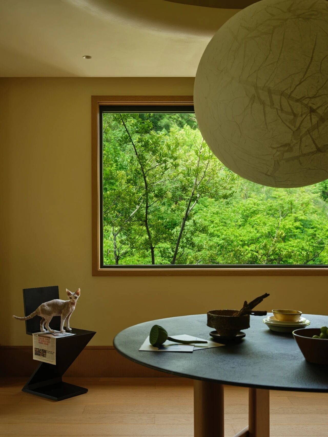 栖所:与自然和毛孩的对话丨中国南京丨读白设计-0