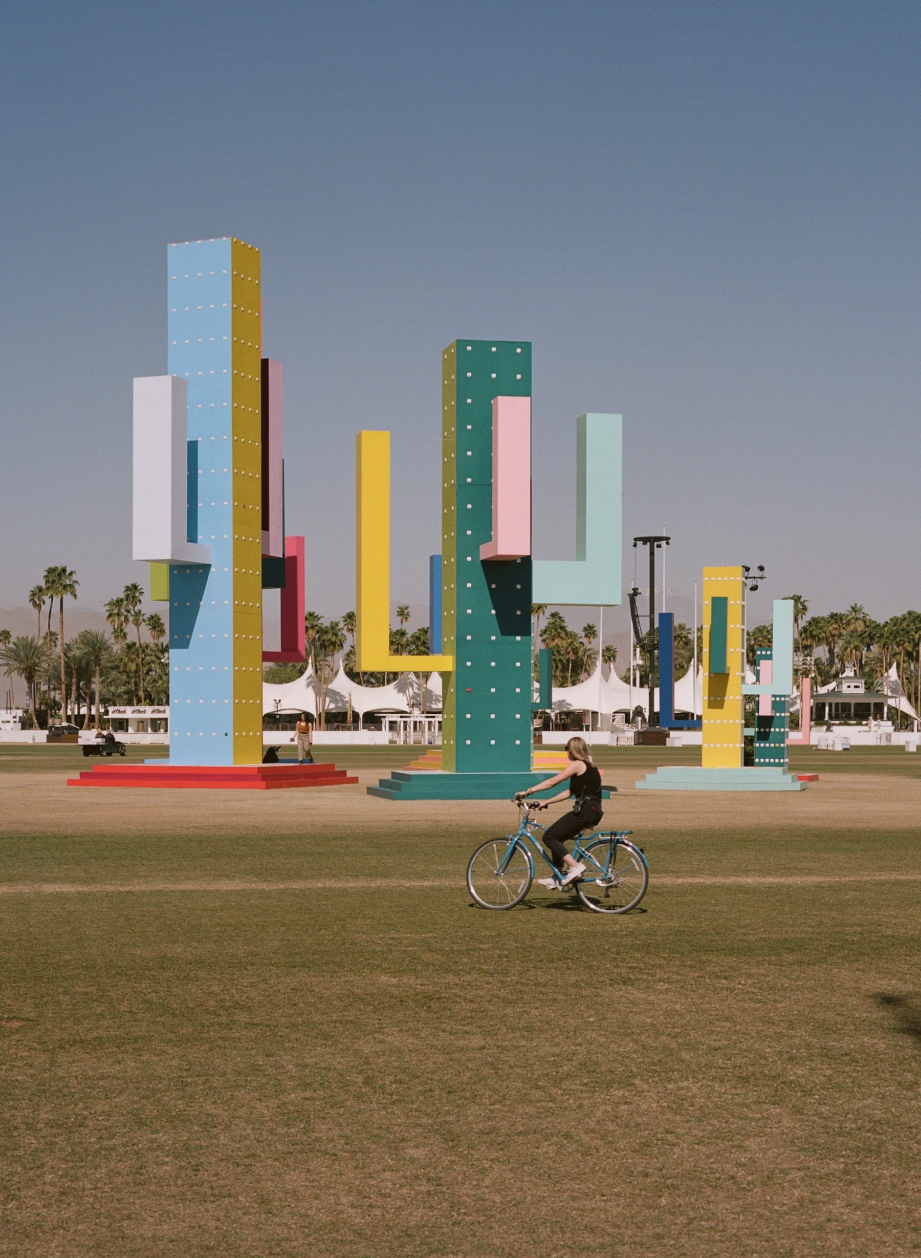 巨大仙人掌,科瓦奇办公室-27