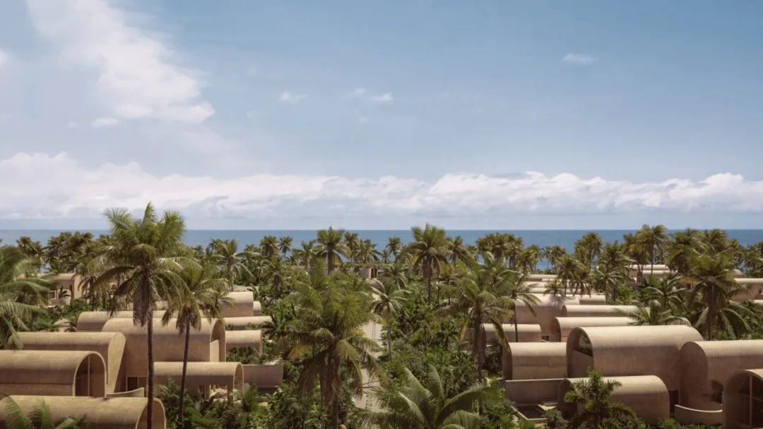 墨西哥海边亲生物住宅 · Casa Los Tigres House-75