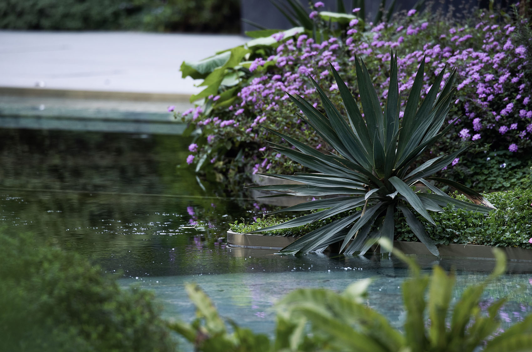 成都宸嘉·嘉佰道景观设计丨中国成都丨WTD纬图设计-39