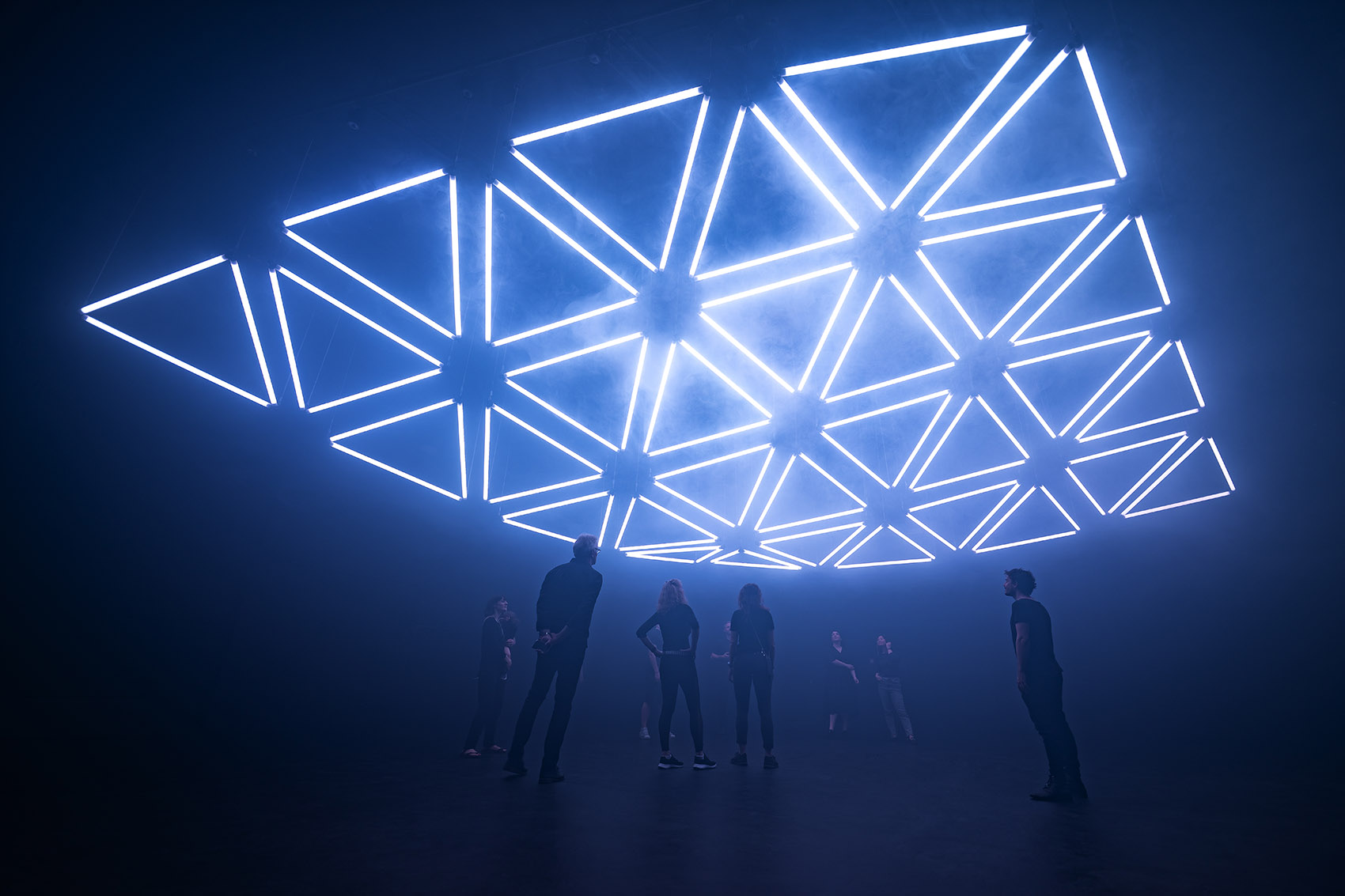 《暗物质2026  四季森林》展览丨德国丨Christopher Bauder + Chris Kuijten-74