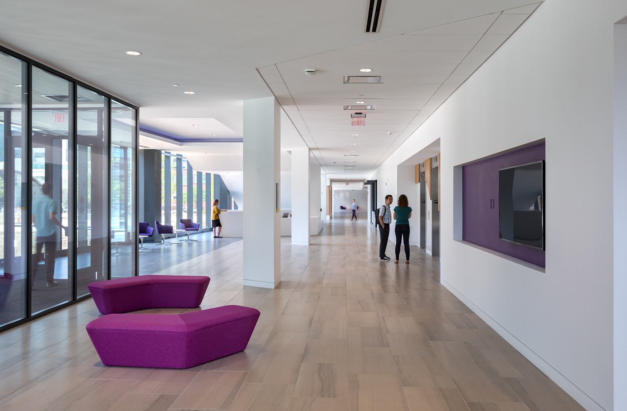 圣路易斯药学院建筑-8