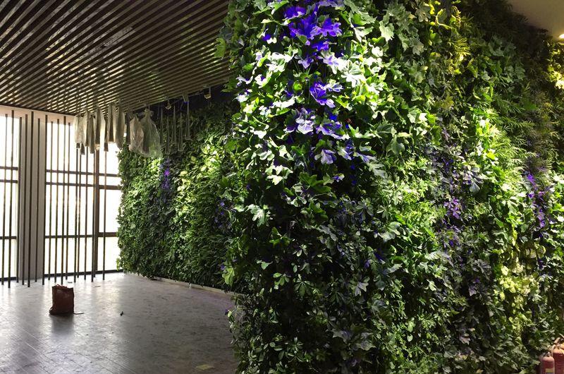 高新区国际美术城-植物墙-2