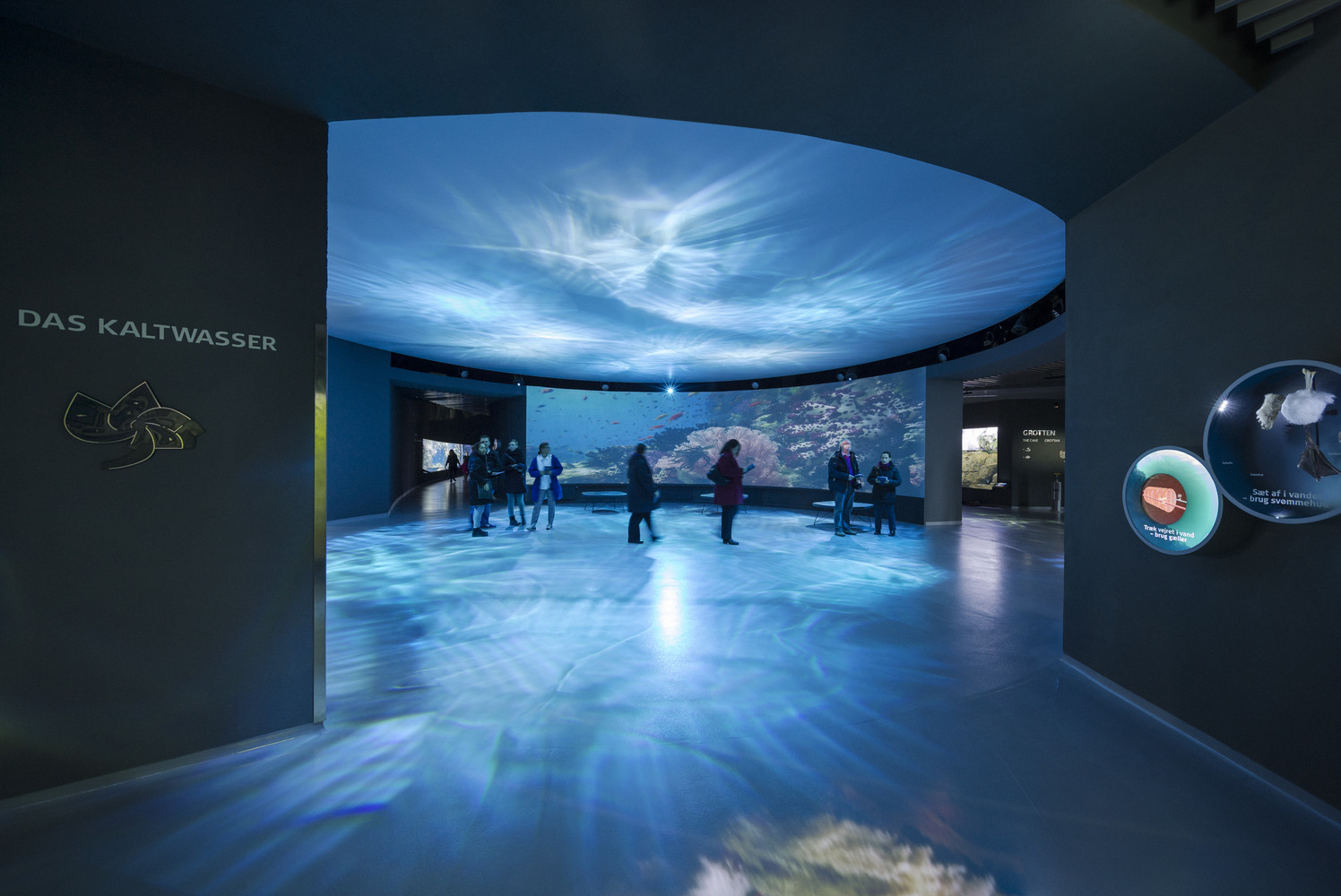 蓝色星球(The Blue Planet)-33