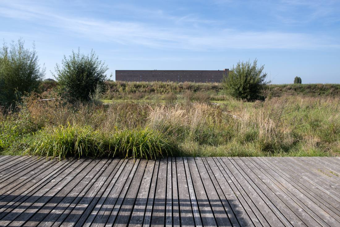 La Lainière等场地公共空间整治项目丨法国丨Claire Shorter,Empreinte,Artélia-38