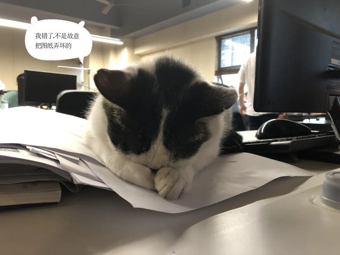 海力设计公司丨中国重庆-26