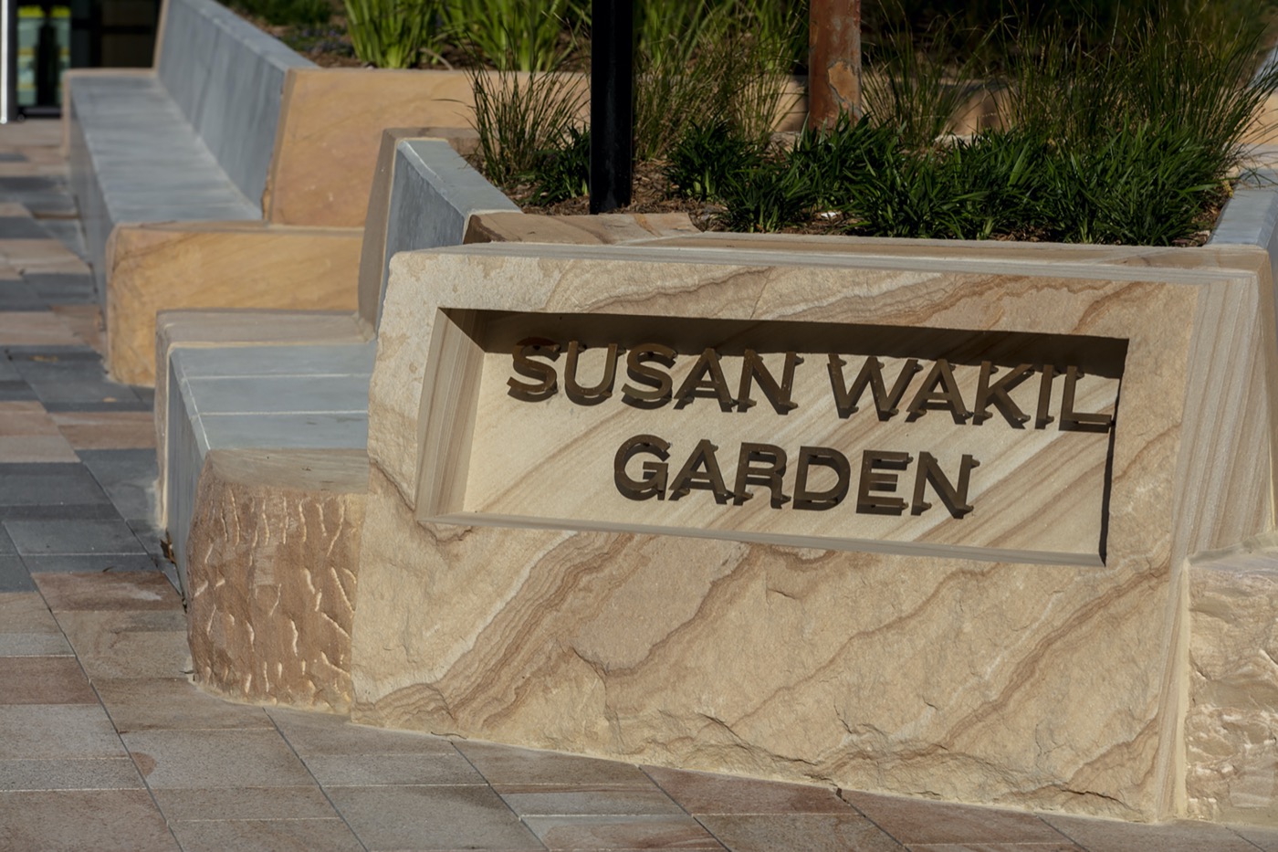 悉尼 Susan Wakil 健康区丨澳大利亚悉尼丨Arcadia Landscape Architecture-21