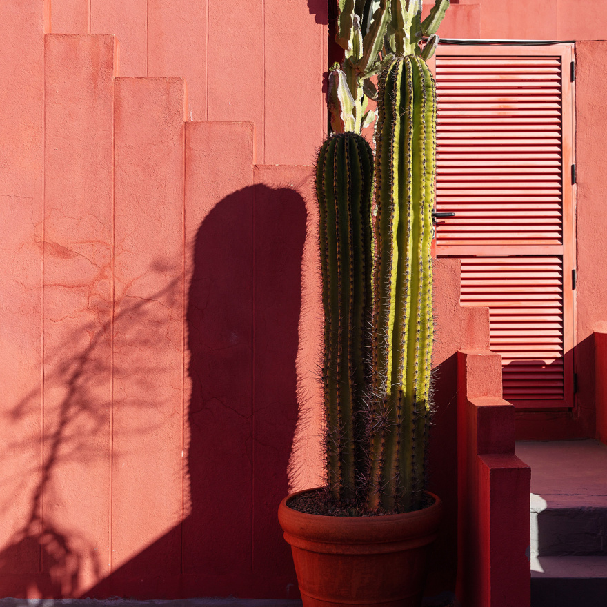 红墙总决赛,第二部分丨Spain丨Sebastian Weiss-17