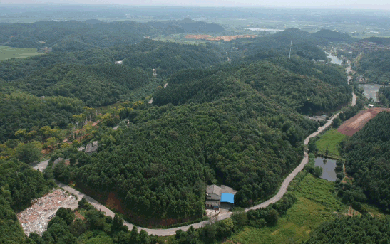 长沙市雅礼实验田汉学校丨中国长沙丨霍普股份壹众事业部-15