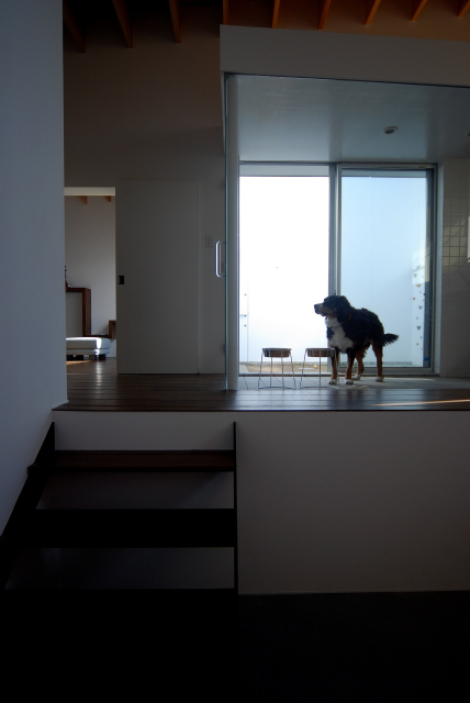 journey #085  COGITE住宅丨日本宫崎丨有限会社COGITE-5