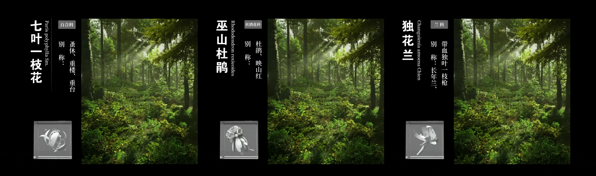 “巫山”自然遗产馆与规划展示馆（上）-21