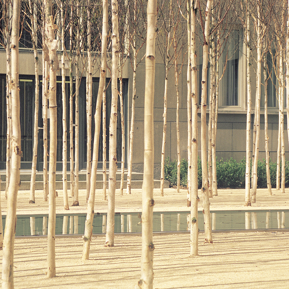 Civic Landscapes — PWP-9