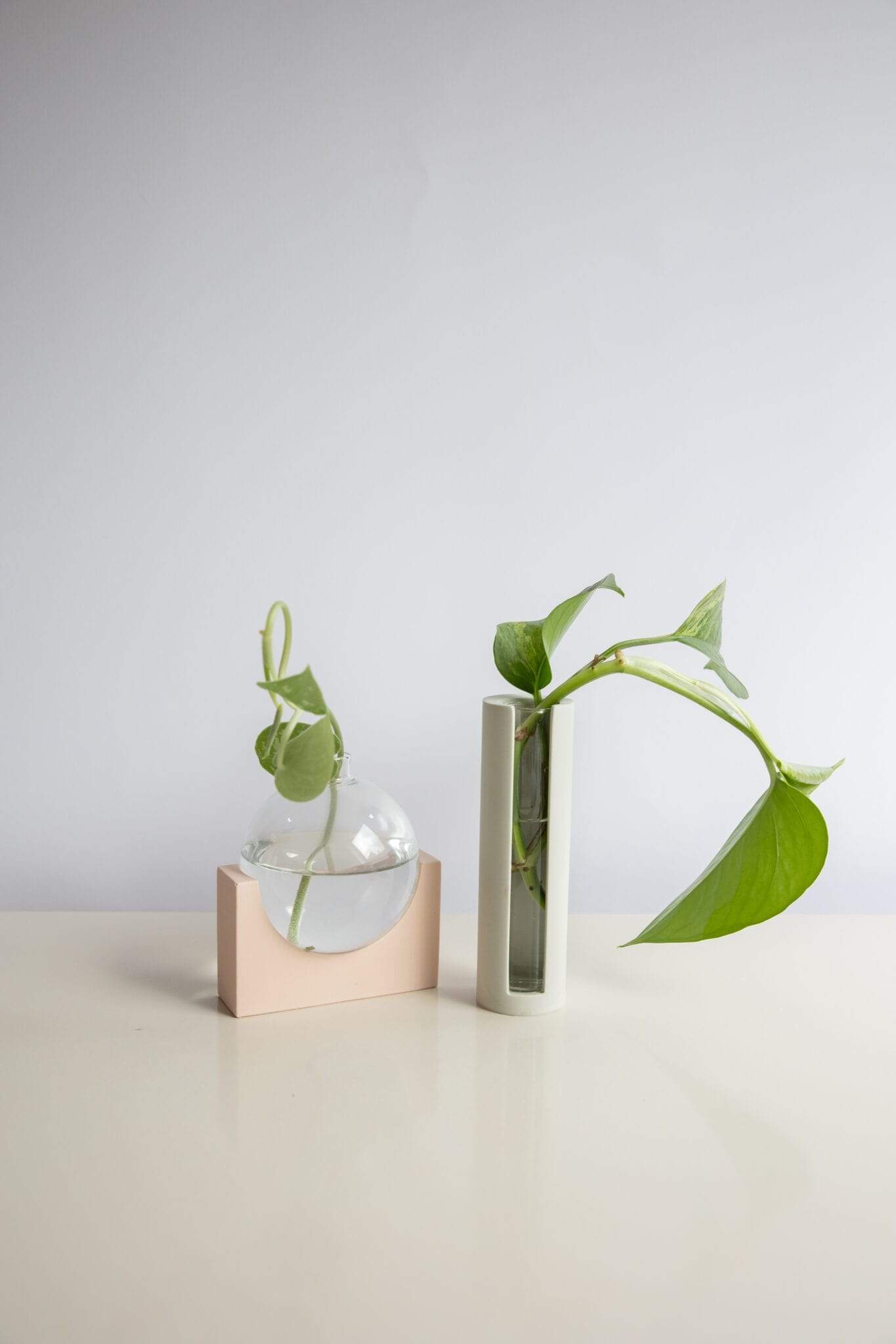 植物剪切新时尚 | 比利时 House Raccoon 设计的水晶 propagation station-12