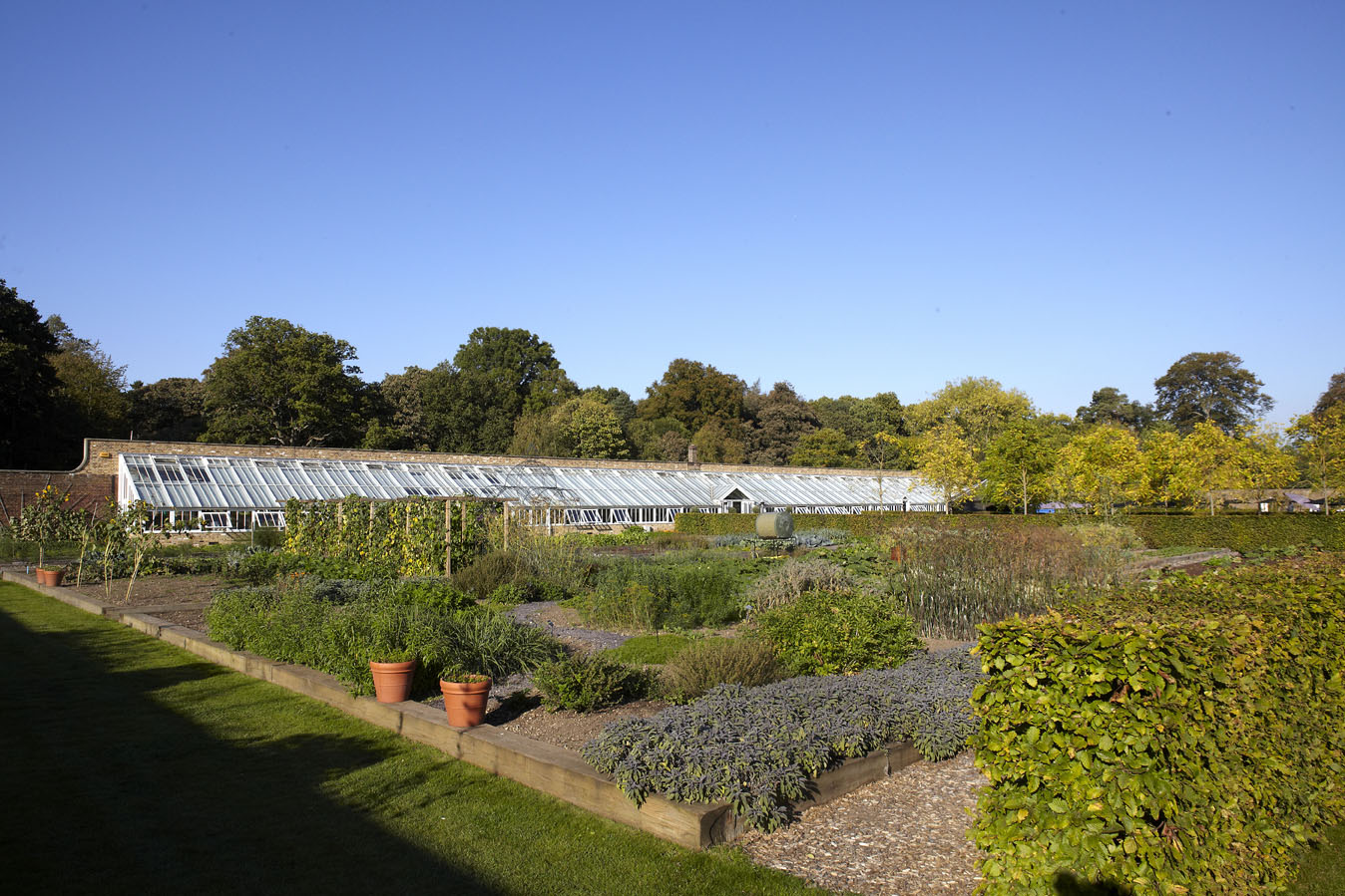 伦敦格鲁夫酒店-46