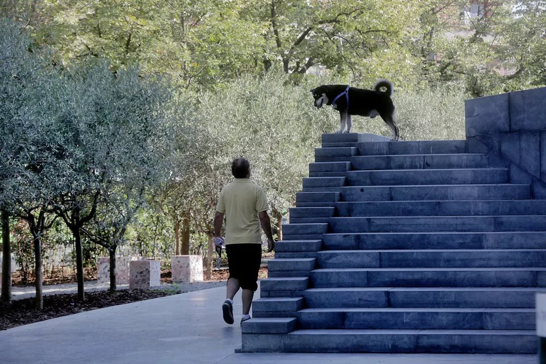 阿尔巴尼亚首都地拉那广场改造，51N4E 打造宽敞步行空间-47