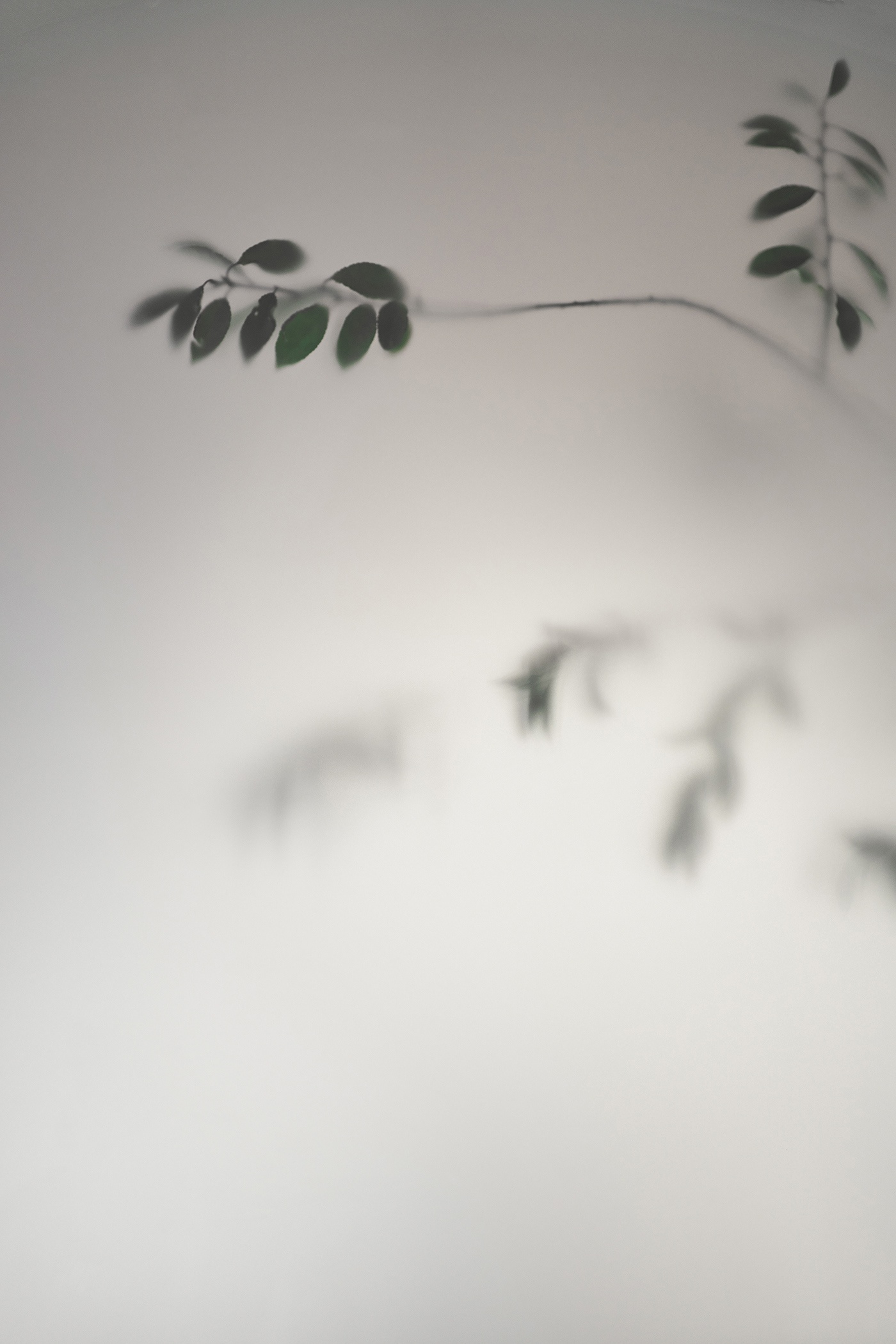 瑜伽馆，Yoga studio METOD | TORBYCH ARCHITECT-18