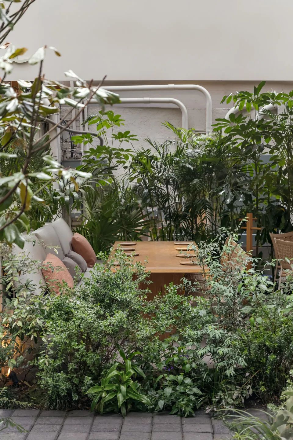 服务课程丨墨西哥丨Pioneer-17