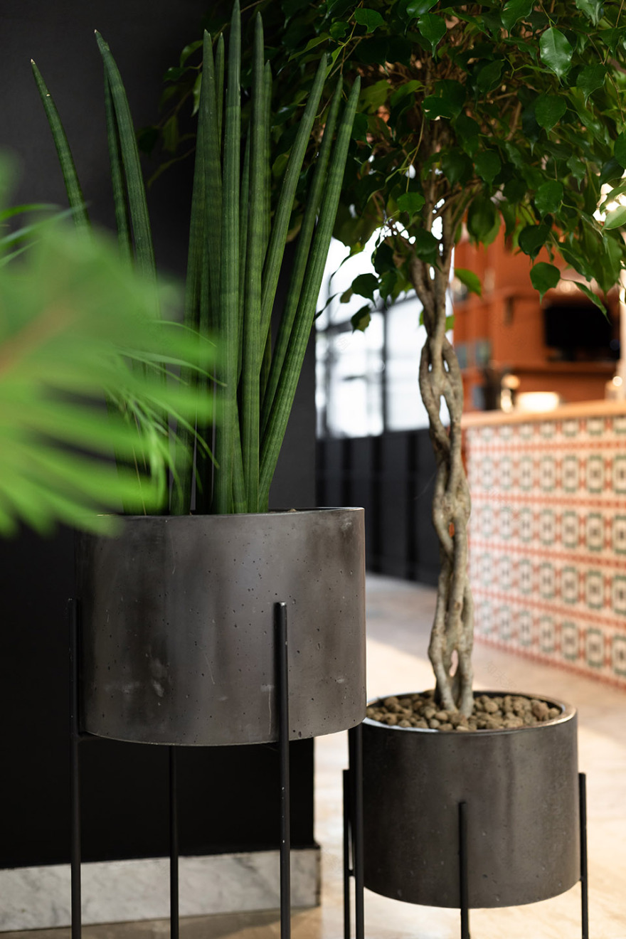 芝士面包房咖啡厅,乌克兰 / Ira Lysiuk-58