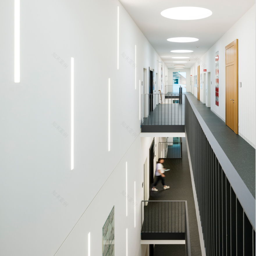 黑 façade 的集成感染疾病研究中心(CIID)-21