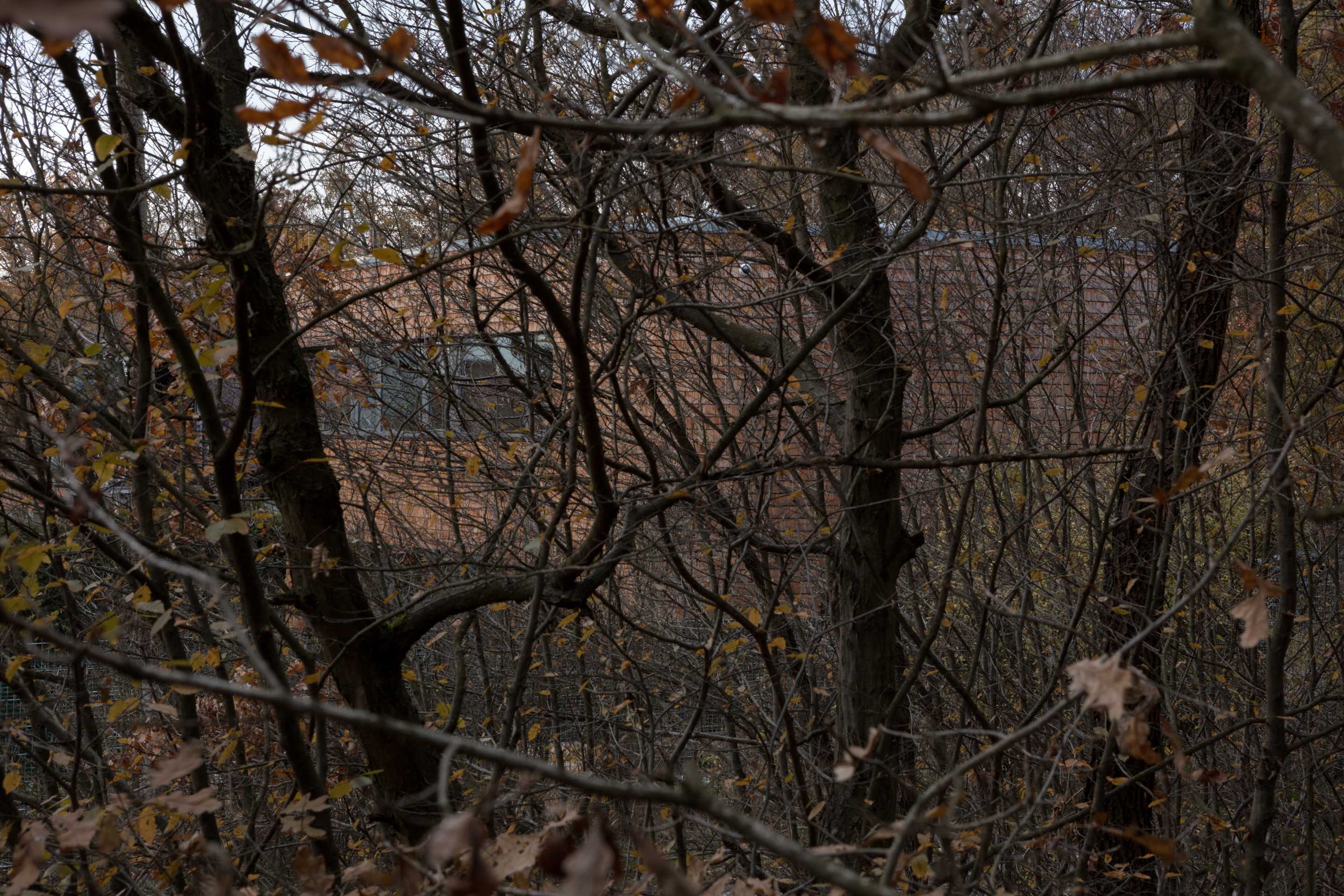 捷克 Dobris 家庭住宅 | 自然材料与环保设计的完美结合-21