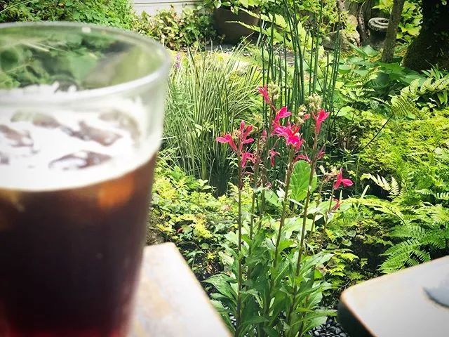 院落生活 | 诗与远方的完美结合-31