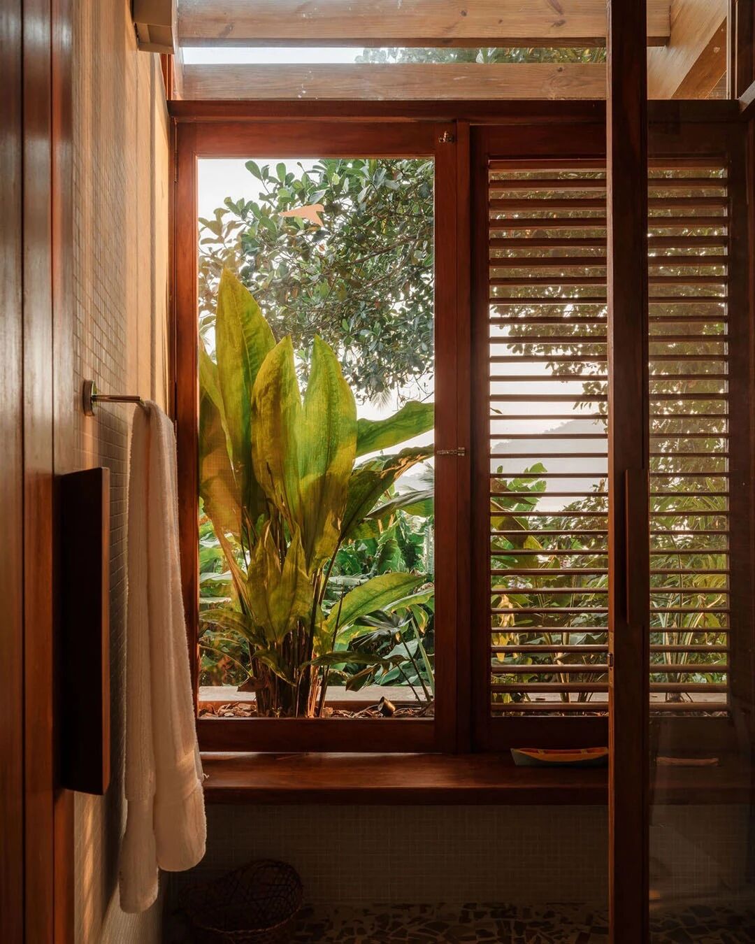 Praia da Figueira设计｜循日之迹,栖木而生住宅丨巴西里约热内卢丨Estúdio Lava-28