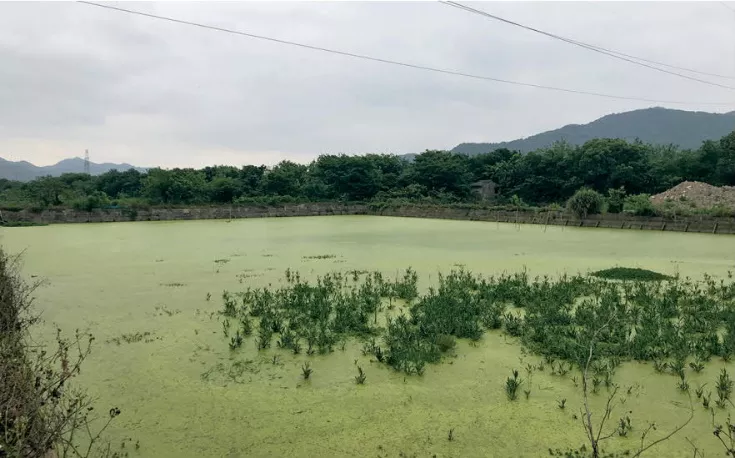 台州鉴洋湖湿地公园首启区景观设计丨中国台州丨AECOM-7