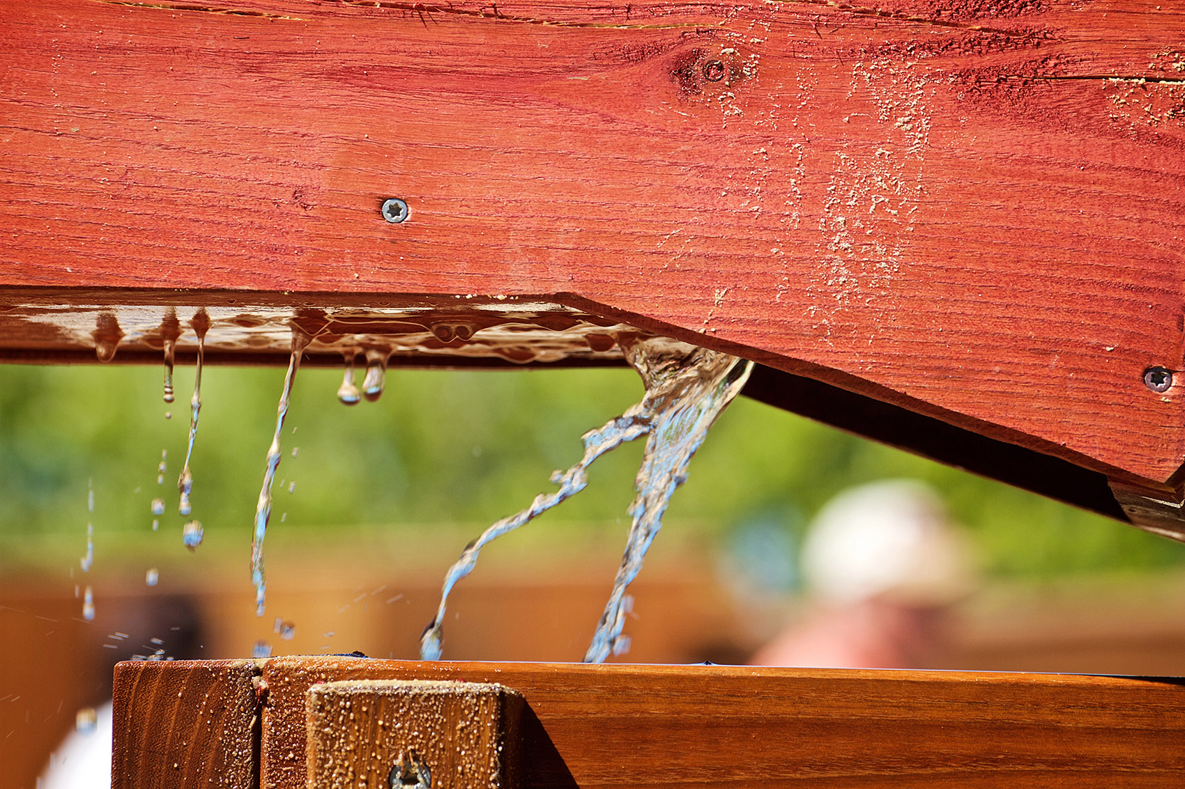 2021德国联邦花园展之艾格公园-26