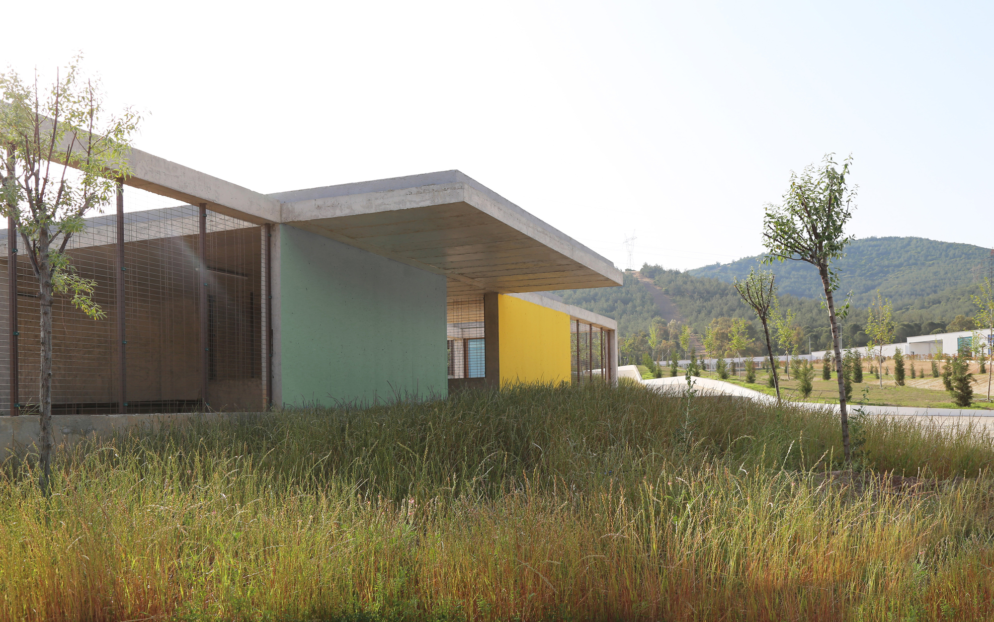 Pako Street Animal Social Life Campus / Mert Uslu Architecture-18