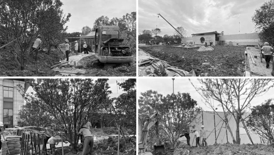 三水荷花世界,云水荷香间的归心之所-70