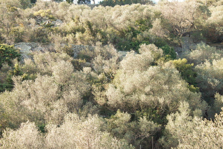 Dalí相关三处场所丨西班牙-41