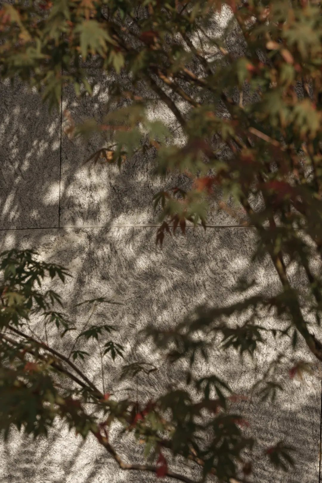 太子湾·云滨丨中国深圳丨SED新西林景观国际-30