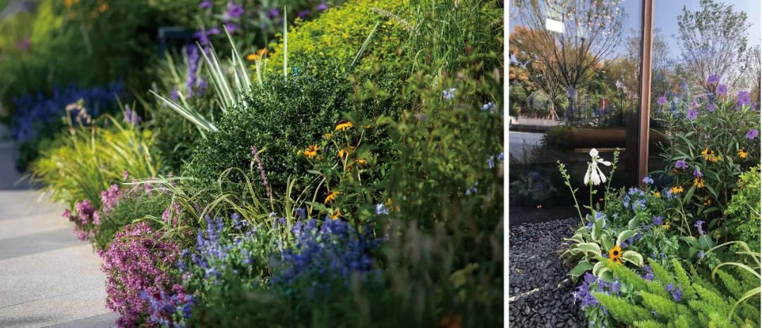 南京阳光城・檀境丨中国南京丨LAURENT罗朗景观-80