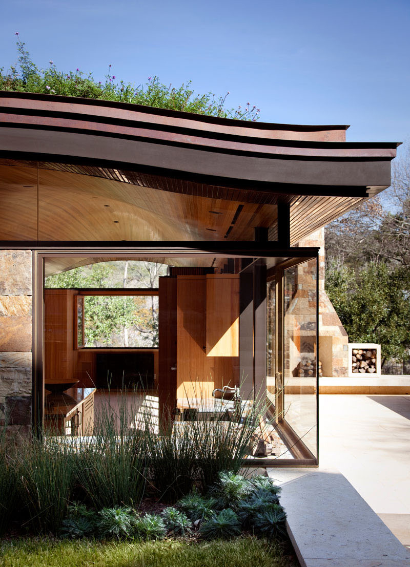 西丘山带弧形绿色屋顶的泳池屋丨Murray Legge Architecture-27