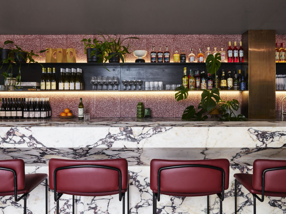 Lagotto, 2019 Flack Studio-2