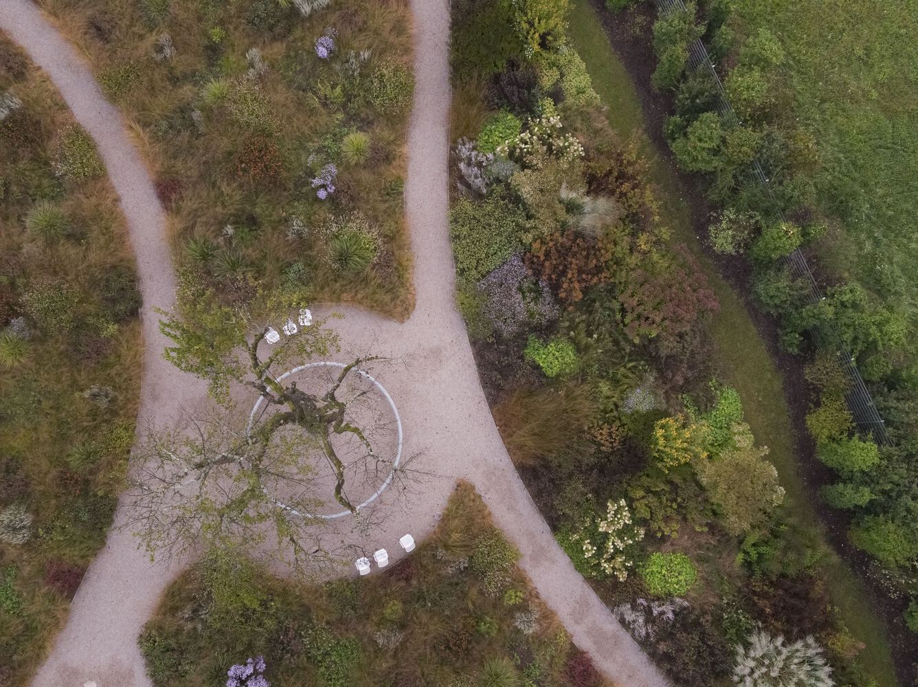 德国Vitra Oudolf花园丨Piet Oudolf-15