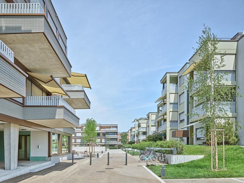 Züst Gübeli Gambetti丨Nachverdichtung Siedlung «Im Grund»丨瑞士-2