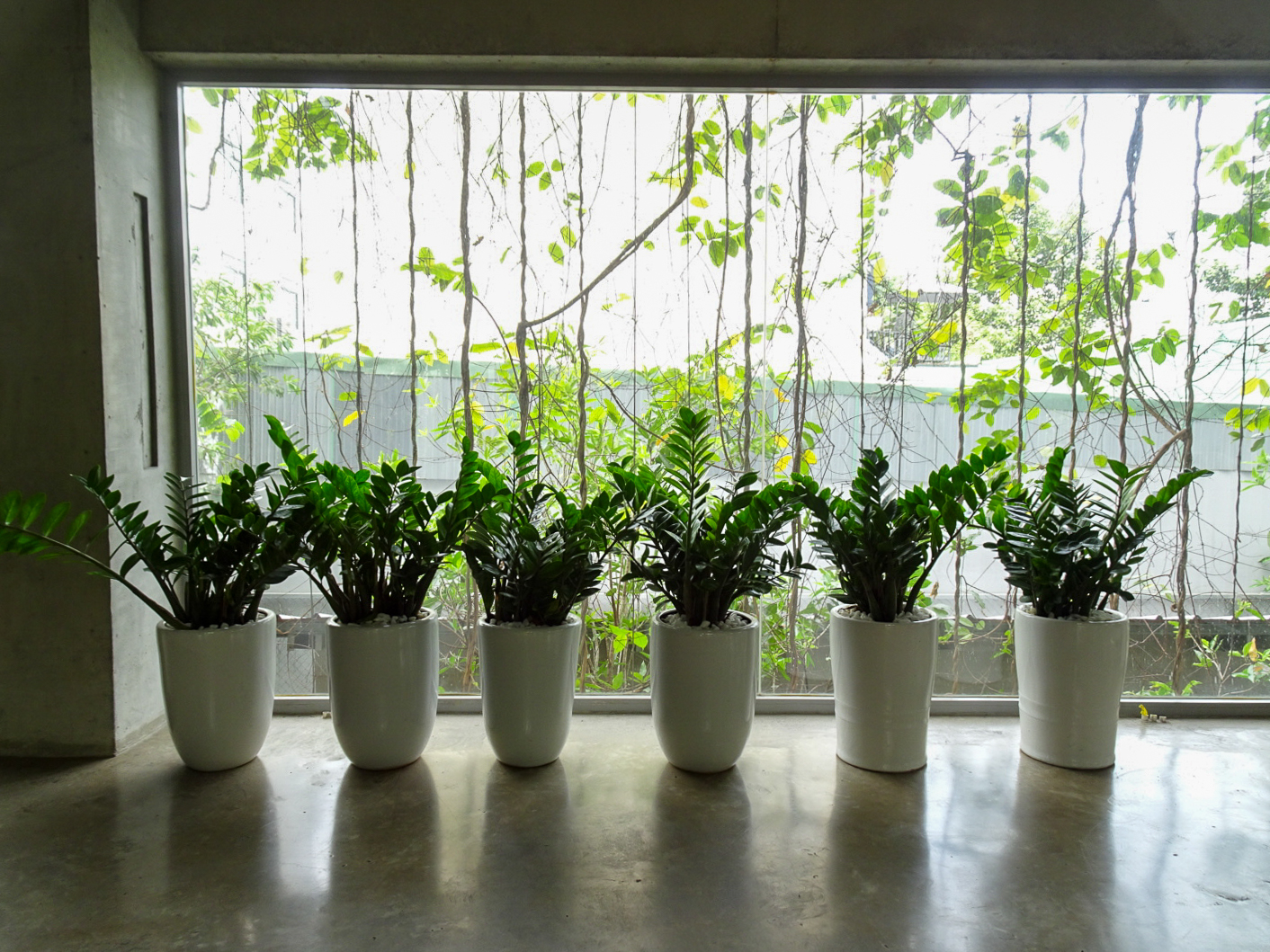 アーバン・ファーミング・オフィス | ベトナム の建築【世界建築巡り】-65