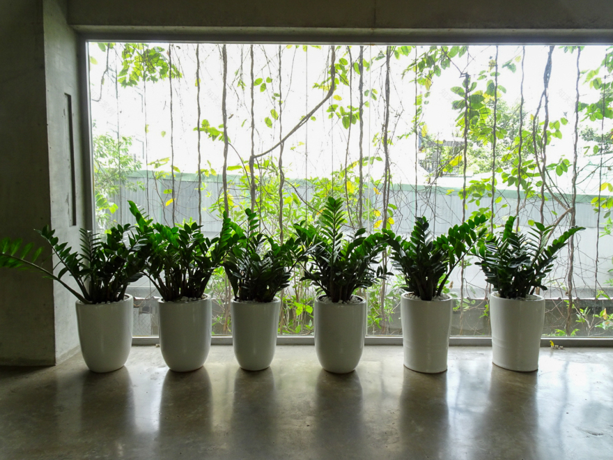 アーバン・ファーミング・オフィス | ベトナム の建築【世界建築巡り】-65