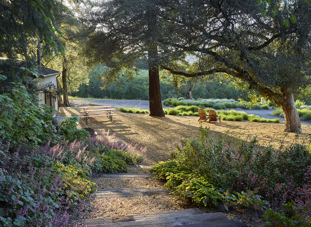 加州希尔兹堡,新旧交汇的野趣庄园 / Lucas & Lucas-18