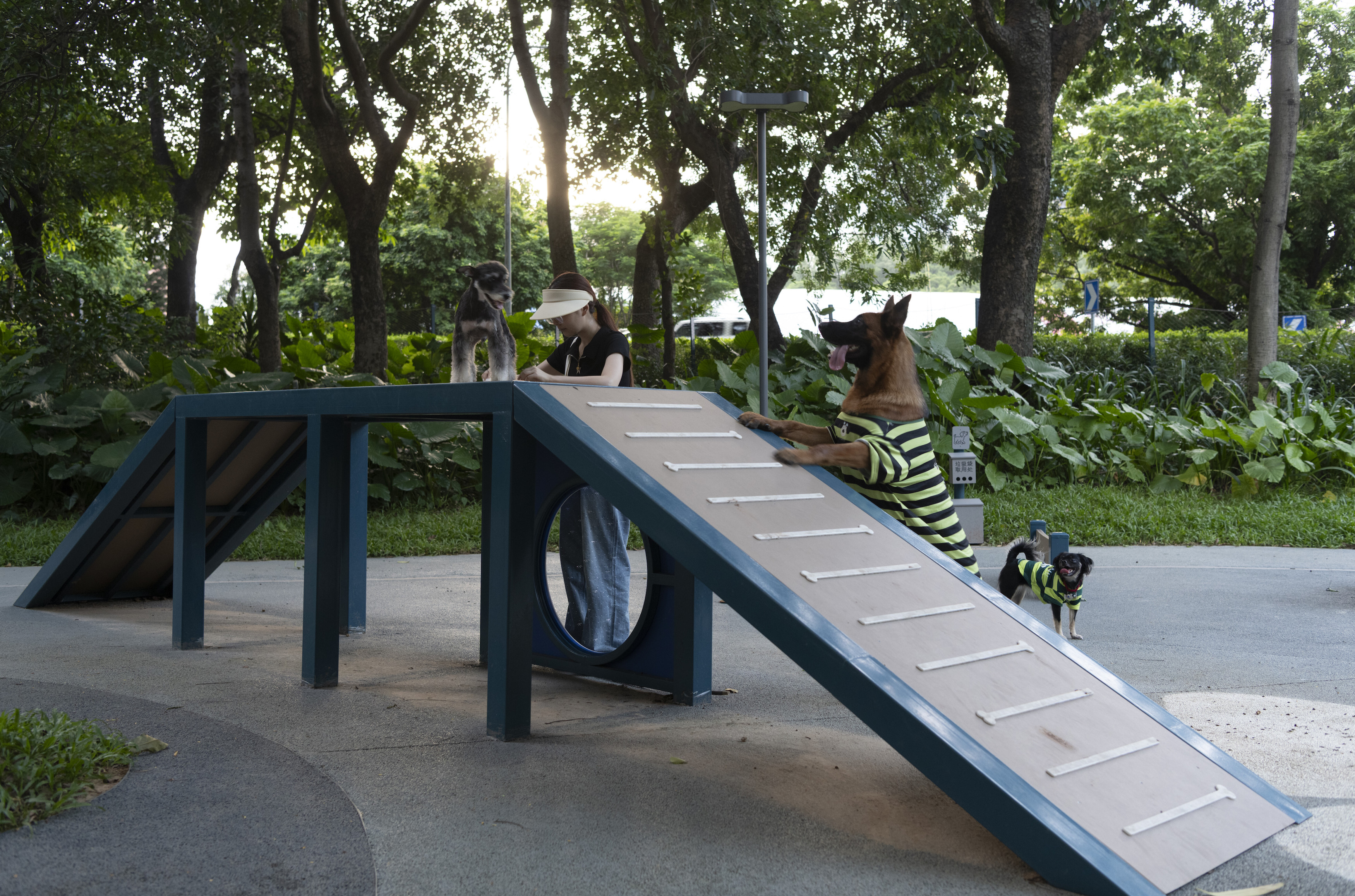 深圳市罗湖泥岗东路宠物友好口袋公园丨中国深圳丨深圳市未名设计顾问有限公司罗湖分公司（WMLA）-37