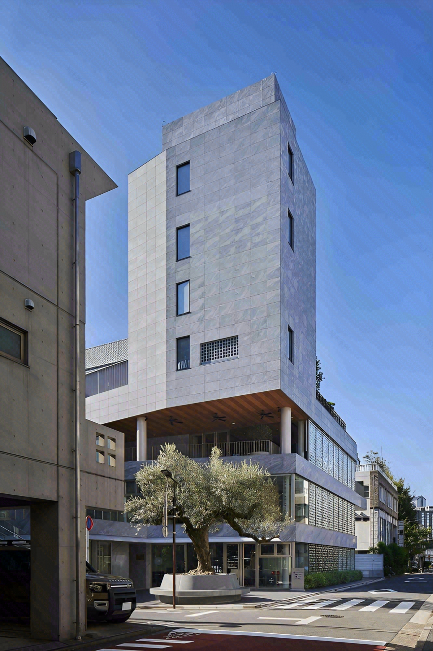 能剧场住宅丨日本东京丨中村拓志-24