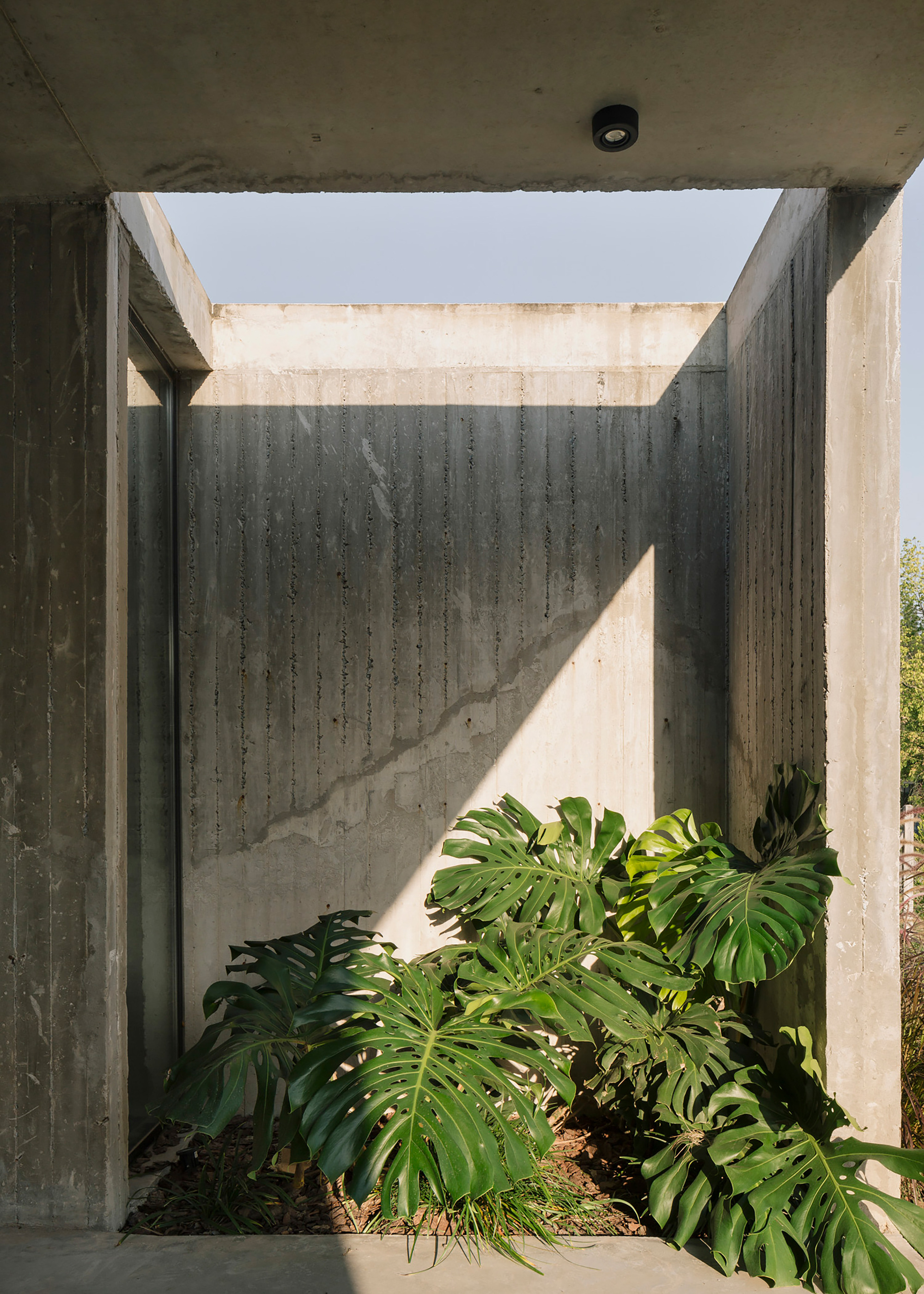 井字棋屋丨阿根廷布宜诺斯艾利斯丨VDV ARQ-29